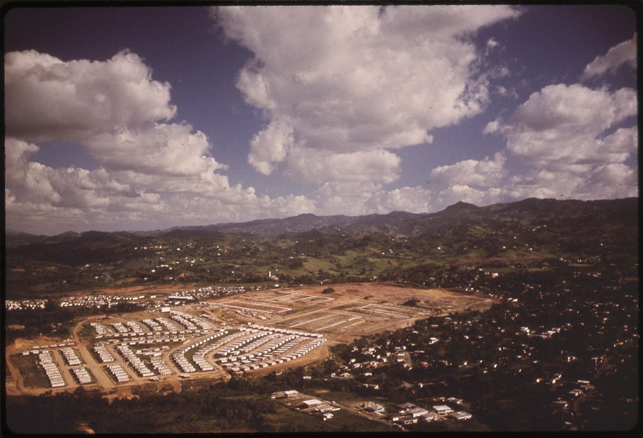 Rows of houses in a new housing development